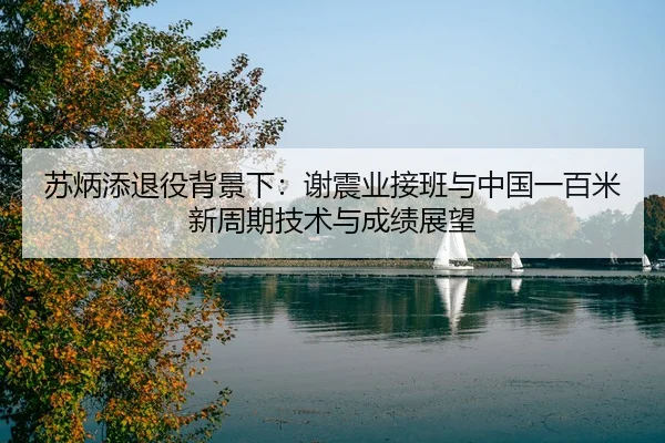 su-bing-tian-tui-yi-bei-jing-xia-xie-zhen-ye-jie-ban-yu-zhong-guo-yi-bai-mi-xin-zhou-qi-ji-shu-yu-cheng-ji-zhan-wang-2-893.jpg