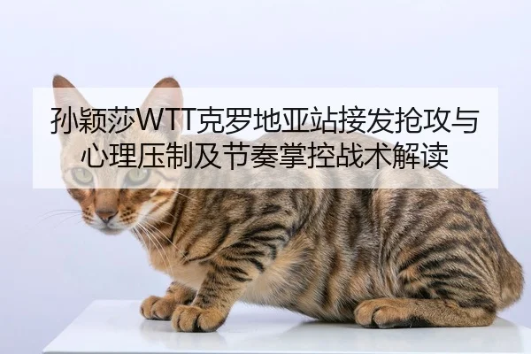 孙颖莎WTT克罗地亚站接发抢攻与心理压制及节奏掌控战术解读