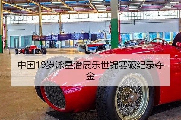 中国19岁泳星潘展乐世锦赛破纪录夺金