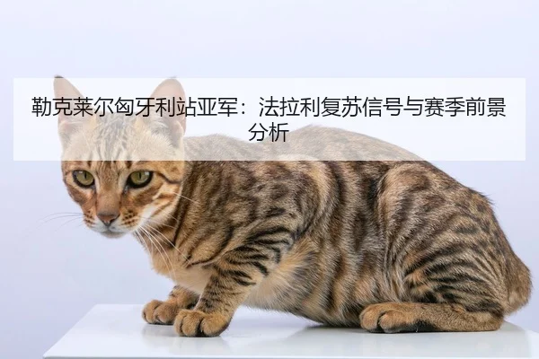 lei-ke-lai-er-xiong-ya-li-zhan-ya-jun-fa-la-li-fu-su-xin-hao-yu-sai-ji-qian-jing-fen-xi-3-835.jpg